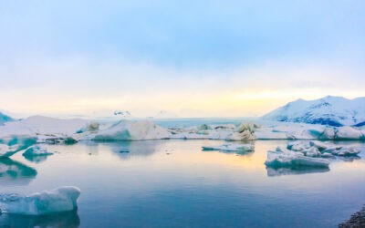 🌍 GRI lança novos padrões sobre Mudanças Climáticas e Energia para impulsionar a transparência e a ação corporativa